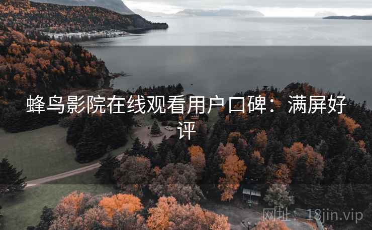 蜂鸟影院在线观看用户口碑：满屏好评